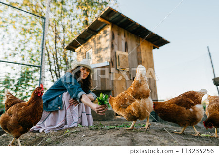 Woman Farmer Feeding Chickens, Sunny Morning at Home Farm Contentment in nature: A carefree, red-haired woman enjoys a retreat from city life to feed her farm chickens 113235256