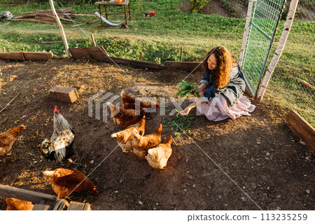 Adult woman feeding chickens with natural grass, organic farmer. Joyful middle-aged woman with curly red hair smiles while feeding chickens, taking a break from the city bustle, enjoying village life 113235259