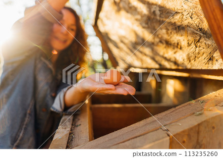 Fresh chicken egg in the female hands of a farmer, rural life, organic farming. Morning routine on the farm, a woman collects eggs from a chicken coop on her private farm Fresh chicken egg in the female hands of a farmer, rural life, organic farming. Morning routine on the farm, a woman collects eggs from a chicken coop on her private farm 113235260