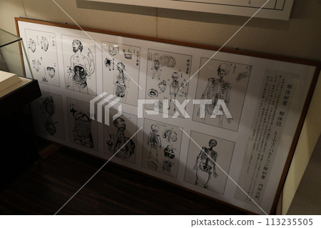解體新書 解體新書 113235505