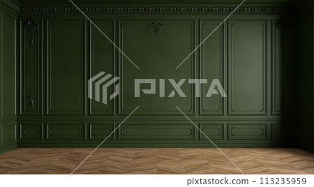 Classic modern green empty interior with blank walls with moldings, stucco and wood floor. 3d render illustration mockup. 113235959