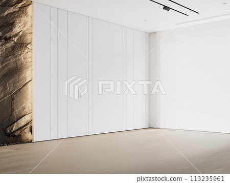 White contemporary minimalist empty interior with rock wall and wall panels. 3d render illustration mockup. 113235961
