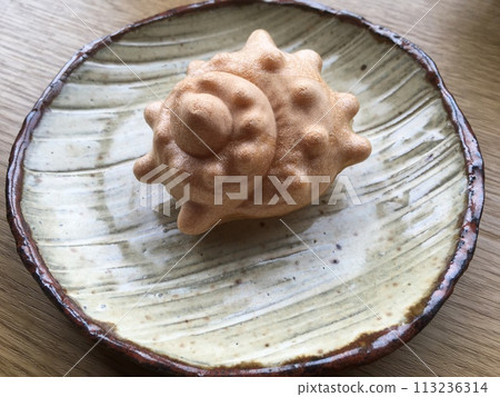 海螺最中 113236314