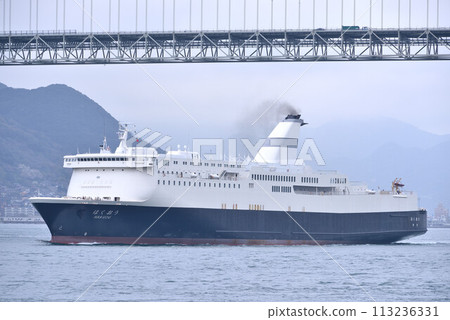 Yellow sand and cargo ship 113236331