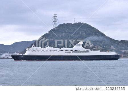 Yellow sand and cargo ship 113236335