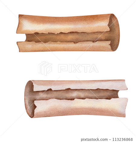 Watercolor old parchment paper scroll sheet, vintage age texture isolated on white background for stylish Book Day, scrapbook, libraries, website, sticker, border, certificate, label, invitation 113236868