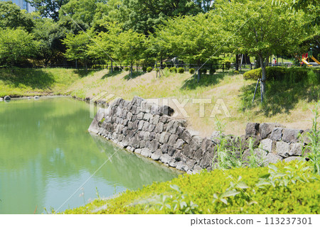 Sunpu城堡公園 113237301