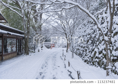 冬天的京都大原，三千院參道的雪景 113237481