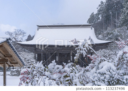 Winter in Kyoto, Ohara, Shorin-in Temple and Nandina in the snow Winter in Kyoto, Ohara, Shorin-in Temple and Nandina in the snow 113237496