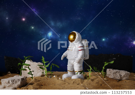 Agriculture technologies in space concept. Astronaut growing plants on alien planet. Since fiction, imagination about gardening on mars planet. 113237553