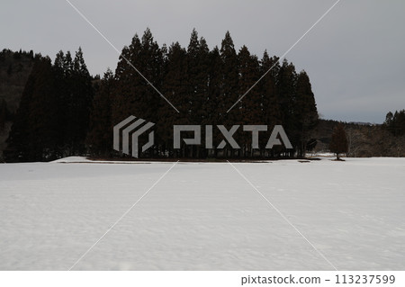 雪域景觀 雪域景觀 113237599