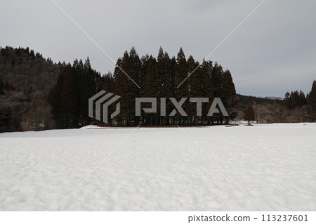 Snowy landscape 113237601