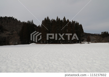 Snowy landscape 113237602