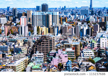 日本東京城市景觀 坡度限制的建築物...本鄉、文京區和其他城市的景觀(右後方還可以看到天空樹) 日本東京城市景觀 坡度限制的建築物...本鄉、文京區和其他城市的景觀(右後方還可以看到天空樹) 113237686