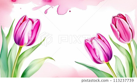 Banner.Bouquet of pink tulips on a white background, drawn in watercolor. Copy space. Place for text. 113237739