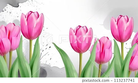 Banner.Bouquet of pink tulips on a white background, drawn in watercolor. Copy space. Place for text. Banner.Bouquet of pink tulips on a white background, drawn in watercolor. Copy space. Place for text. 113237741