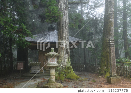 World Heritage Site: Mount Koya, Approach to Okunoin, Mitsugen-do, Wakayama Prefecture World Heritage Site: Mount Koya, Approach to Okunoin, Mitsugen-do, Wakayama Prefecture 113237776