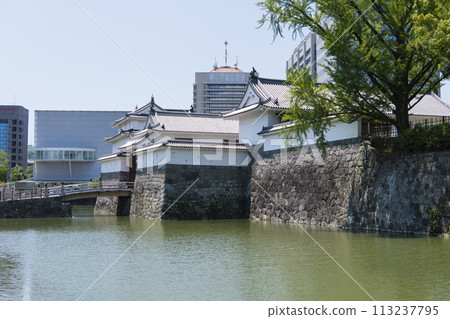 Sunpu Castle Park Higashiomon 113237795