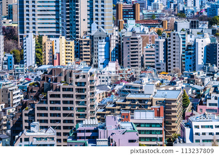 Japan's Tokyo cityscape Buildings with slope restrictions...View of Hongo, Bunkyo Ward, and other cities (not shown on the screen, but the Sky Tree is in the upper right corner) 113237809