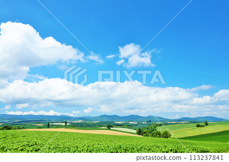 北海道夏天藍天和Biei風景 113237841