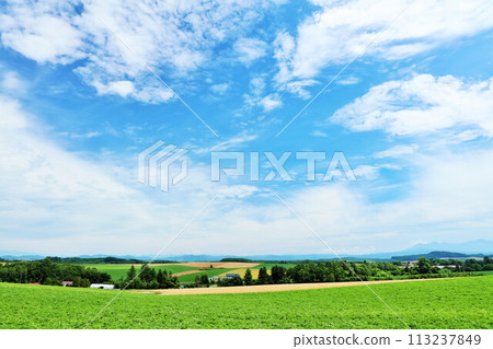 北海道夏天藍天和Biei風景 113237849