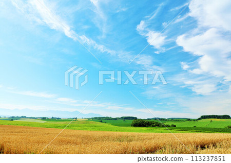 北海道夏天藍天和Biei風景 北海道夏天藍天和Biei風景 113237851