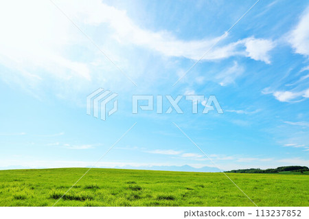 北海道夏日藍天與清新綠草甸風光 北海道夏日藍天與清新綠草甸風光 113237852