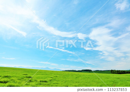 北海道夏日藍天與清新綠草甸風光 113237853