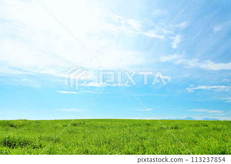 Hokkaido summer blue sky and fresh green meadow scenery Hokkaido summer blue sky and fresh green meadow scenery 113237854