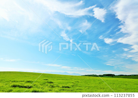 Hokkaido summer blue sky and fresh green meadow scenery Hokkaido summer blue sky and fresh green meadow scenery 113237855