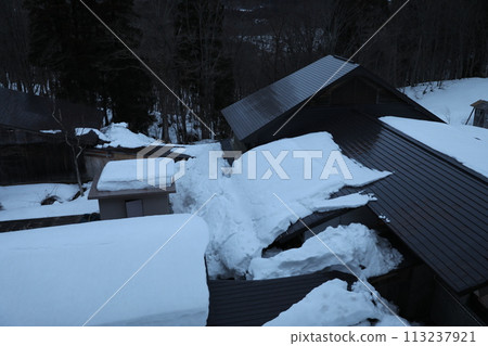 snow snow 113237921