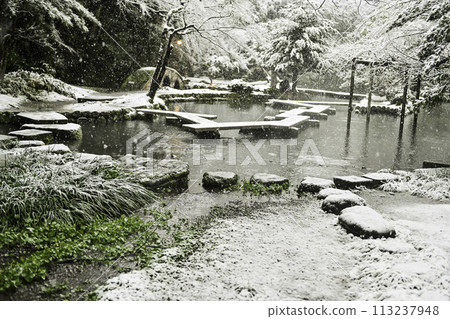 美麗的大山神社飄落的雪花 113237948