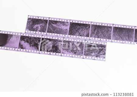 Photographic negative film/monochrome film (white background/copy space) 113238081