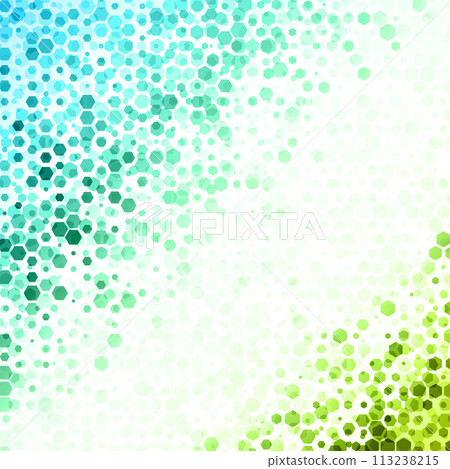 Colorful Hexagonal Pattern on White Background 113238215