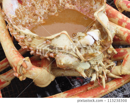 Japanese spider crab grilled and cooked on a grid Japanese spider crab grilled and cooked on a grid 113238308