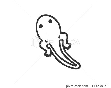 帶腿的蝌蚪圖示（線圖）插圖 113238345