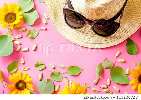 Sunflower seeds, hat and sunglasses on pink background. Top view and summer vibe, border frame with copy space Sunflower seeds, hat and sunglasses on pink background. Top view and summer vibe, border frame with copy space 113238728