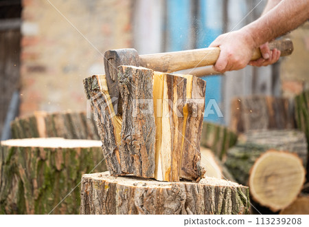 chopping wood 113239208