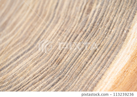 wood texture on a cut wood texture on a cut 113239236