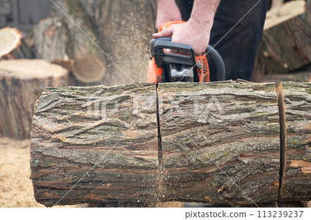 man cuts wood with a saw man cuts wood with a saw 113239237