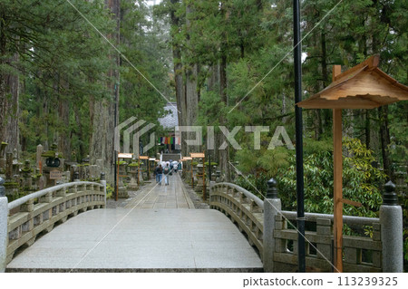World Heritage Mount Koya: Okunoin Shrine shrouded in rain, Gobyo Bridge, Wakayama Prefecture World Heritage Mount Koya: Okunoin Shrine shrouded in rain, Gobyo Bridge, Wakayama Prefecture 113239325