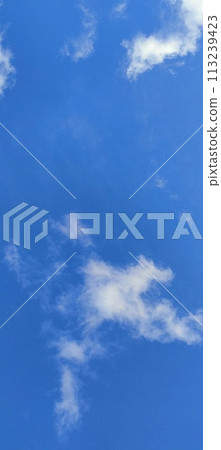 Beautiful view over the blue sky with white clouds 113239423
