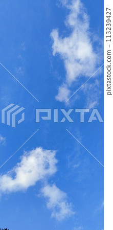 Beautiful view over the blue sky with white clouds 113239427