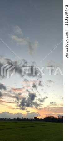 Rice farming on the edge of the mountain and beautiful roads with beautiful clouds in the afternoon and evening 113239442