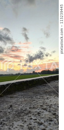 Rice farming on the edge of the mountain and beautiful roads with beautiful clouds in the afternoon and evening Rice farming on the edge of the mountain and beautiful roads with beautiful clouds in the afternoon and evening 113239445