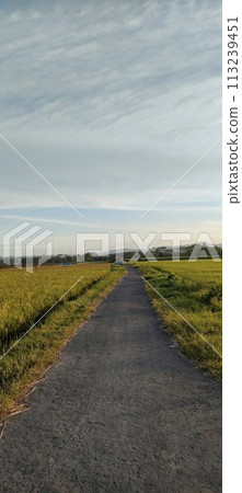 Rice farming on the edge of the mountain and beautiful roads with beautiful clouds in the afternoon and evening 113239451