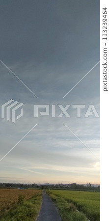 Rice farming on the edge of the mountain and beautiful roads with beautiful clouds in the afternoon and evening 113239464