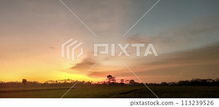 Rice farming on the edge of the mountain and beautiful roads with beautiful clouds in the afternoon and evening 113239526