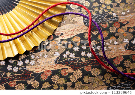 Japanese style image of golden fan and braid 113239645