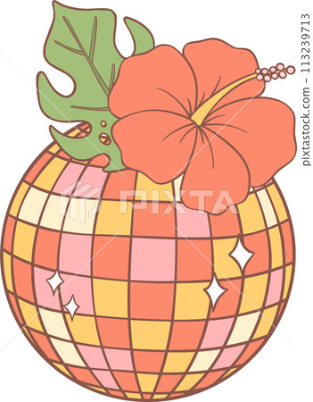 Groovy retro summer disco ball 113239713